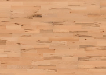 TER HÜRNE Parkett Buche 2390×200×13 mm, Satin