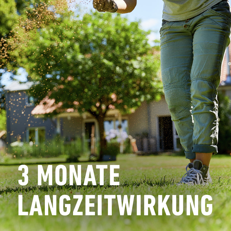 COMPO Rasendünger UV+MV Pflege gegen Unkraut und Moos, 3 kg