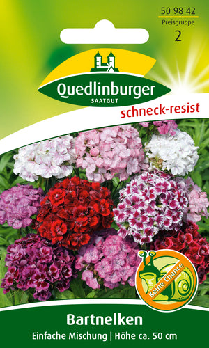 QUEDLINBURGER SAATGUT Bartnelke Einfache Mischung PG 2, bunt