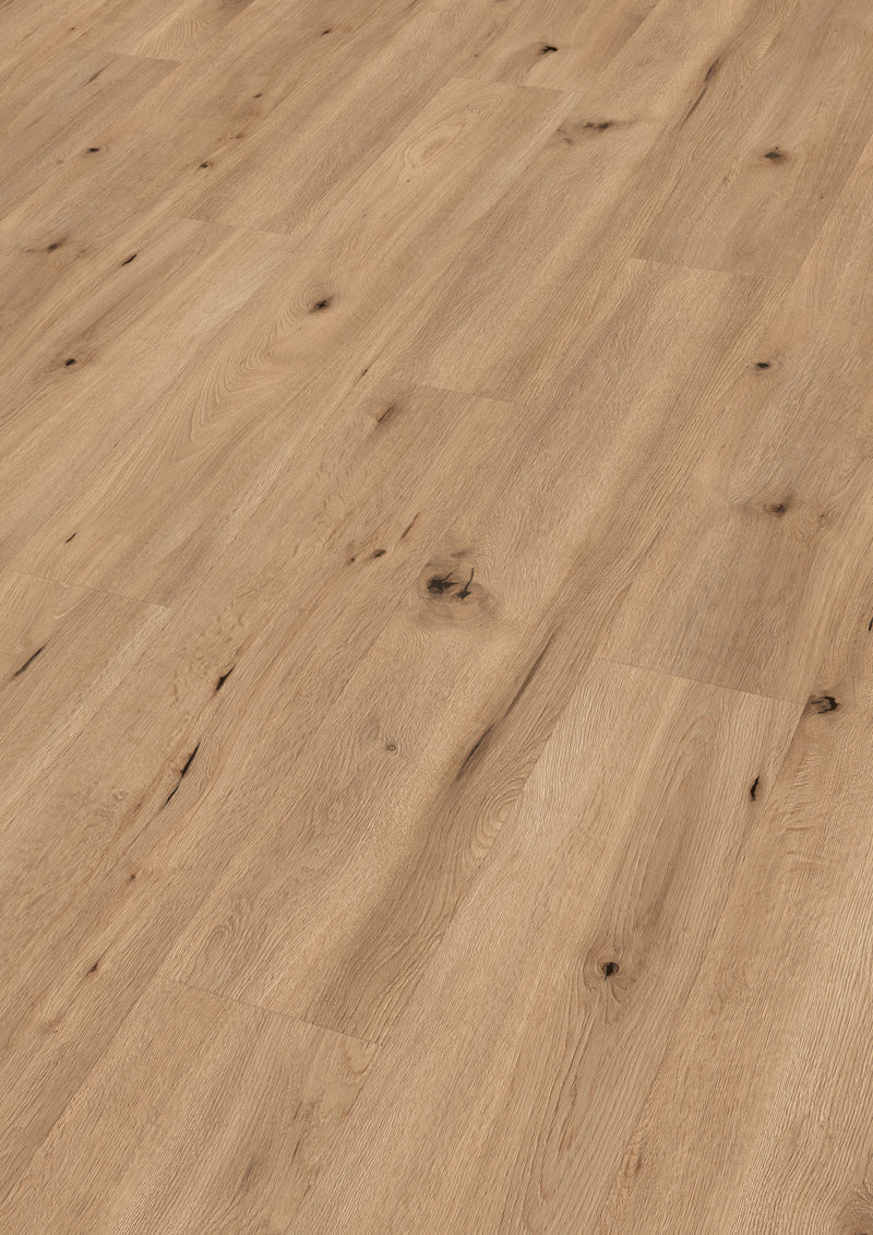 PRIMA Dolce Korkboden Oak, 4V-Microfuge