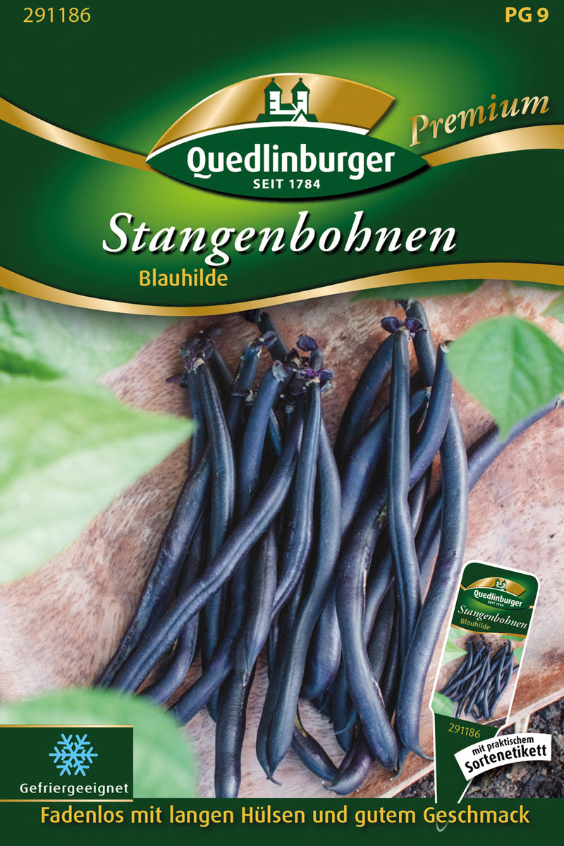 QUEDLINBURGER SAATGUT Stangenbohne Blauhilde (PG 9)