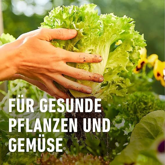 COMPO BIO Hochbeet-Dünger mit Schafwolle, organischer Feststoffdünger 0,75 kg