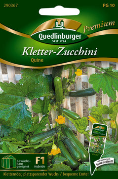 QUEDLINBURGER SAATGUT Quine F1 Kletter-Zucchini, Premium-Saatgut