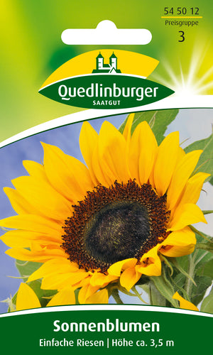 QUEDLINBURGER SAATGUT PG 3 Sonnenblume „Einfache Riesen“ gelb