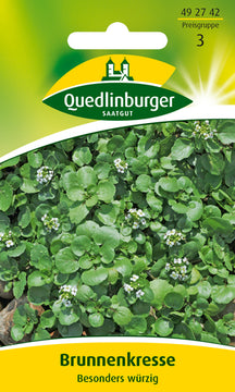 QUEDLINBURGER SAATGUT Brunnenkresse PG 3, Kräutersamen