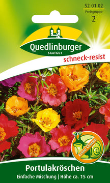 Quedlinburger Saatgut Portulakröschen einfachblühende Supermischung, Blumensamen