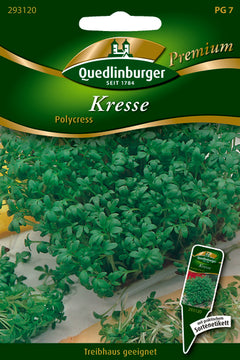 QUEDLINBURGER SAATGUT Polycress Kresse – Kräutersamen, mehrjährig
