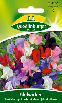 QUEDLINBURGER SAATGUT Edelwicke Großblumige Mischung (bunt) – Blumensamen