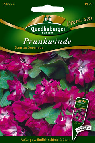 Quedlinburger Saatgut Prunkwinde Sunrise Serenade PG 9 Premium, gefüllt blühend