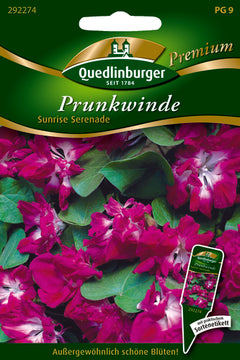 Quedlinburger Saatgut Prunkwinde Sunrise Serenade PG 9 Premium, gefüllt blühend