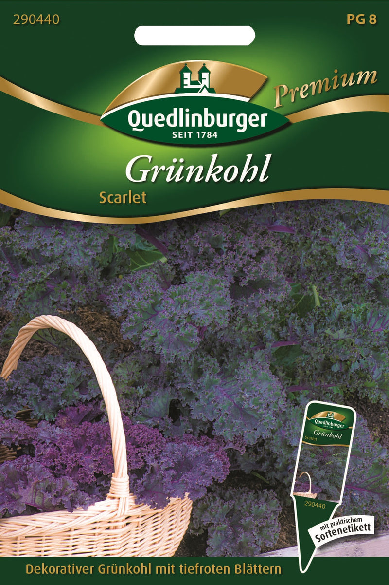 QUEDLINBURGER Saatgut Grünkohl Scarlet, Gemüsesamen PG 8