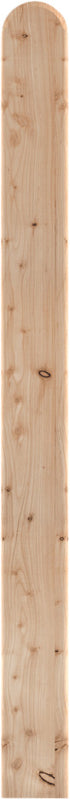 Osmo Lärche Pfosten glatt eckig, unbehandelt, natur, 195 x 9 x 9 cm