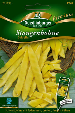 QUEDLINBURGER SAATGUT Goldelfe Premium Stangenbohne, gelb