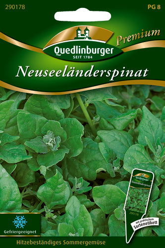Quedlinburger Saatgut Neuseeländerspinat PG 8 Premium