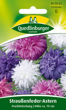 QUEDLINBURGER SAATGUT Straußenfederaster Prachtmischung PG 0, Blumensamen
