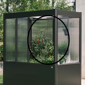 Biohort Rankhilfe zu Gewächshaus Florentina