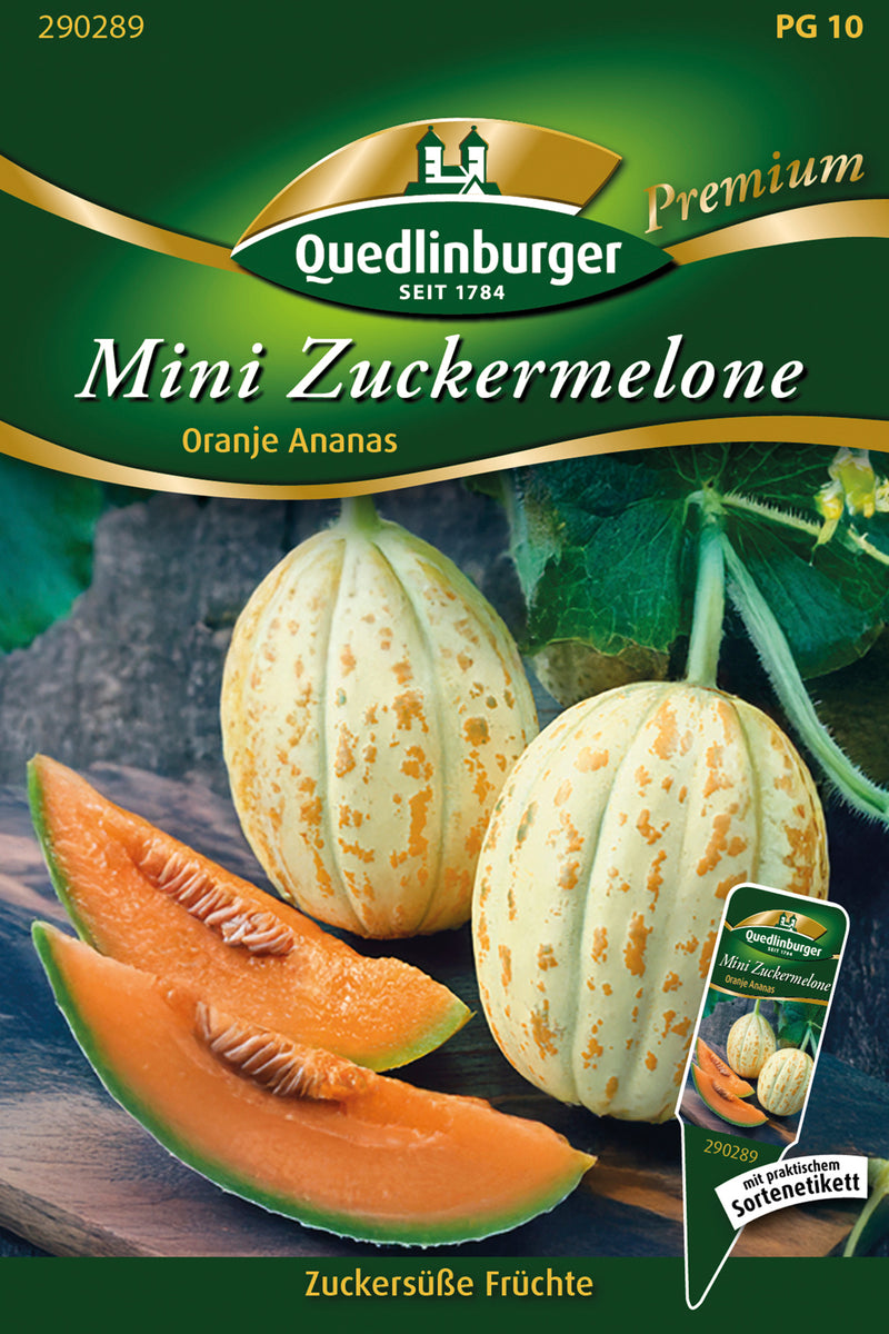 QUEDLINBURGER SAATGUT Zuckermelone Mini Oranje Ananas (PG 10)
