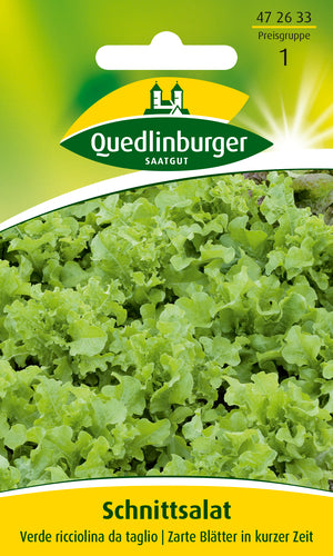 QUEDLINBURGER SAATGUT Salat „Schnitt-verde ricciolina“ als Salatsamen