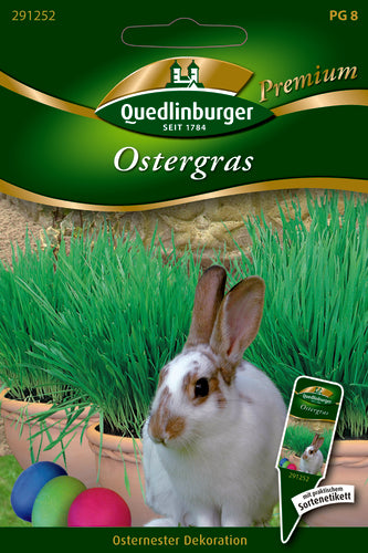 QUEDLINBURGER SAATGUT Ostergras PG 8 Premium, Rasensamen