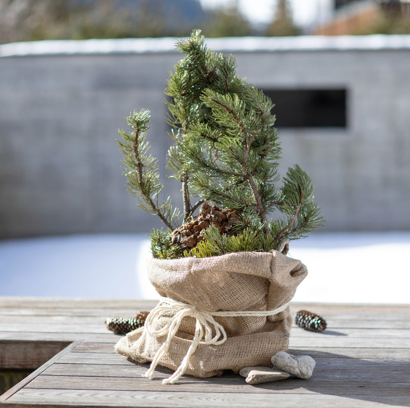 Windhager Jute-Sack Natur, 80 x 60 cm, mit Befestigungsband