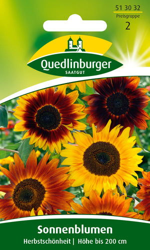 QUEDLINBURGER SAATGUT PG 2 Sonnenblume „Herbstschönheit“ bunt