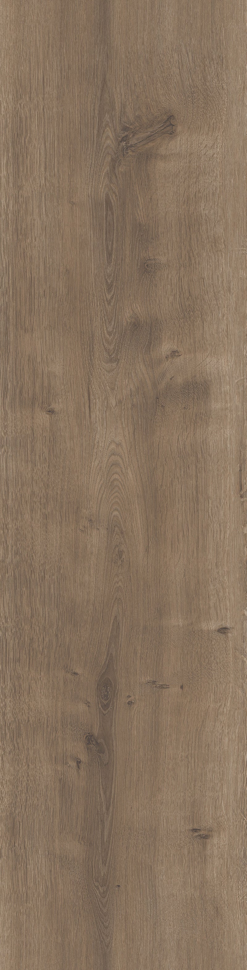 MODERNA Akzent-Sockelleiste Eiche HELO 2380 x 60 x 16 mm (10 Stk.)