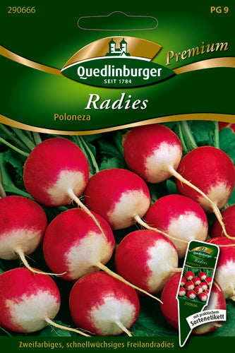 QUEDLINBURGER Saatgut Poloneza Radies (Rettich) Premium