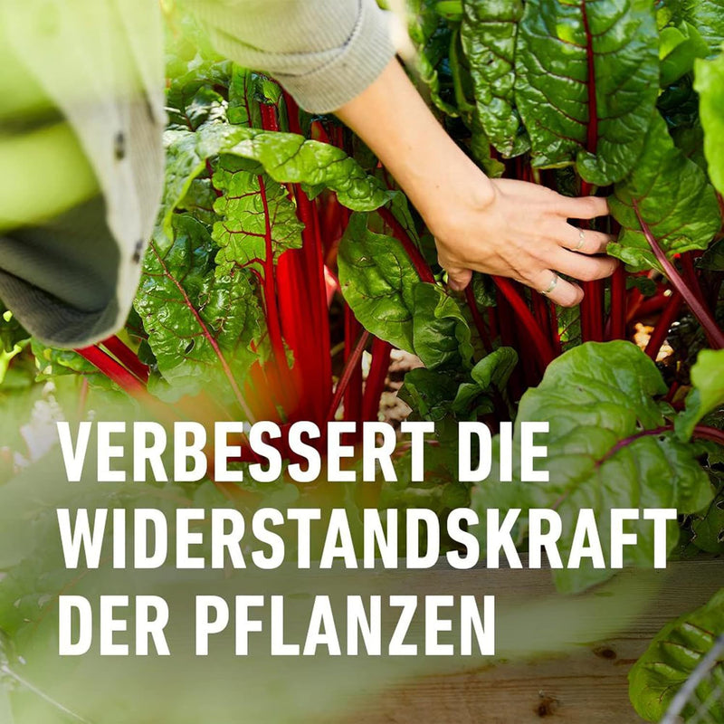 COMPO Garten Langzeit-Dünger EREG 2 kg Feststoffdünger für außen