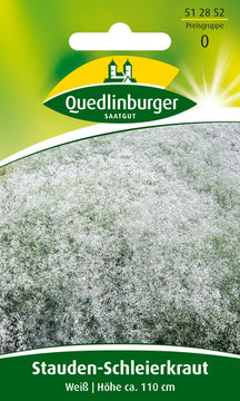 QUEDLINBURGER SAATGUT Stauden-Schleierkraut, weiß, Blumensamen