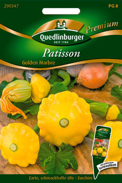 QUEDLINBURGER SAATGUT Patisson Golden Marbre als Blumensamen