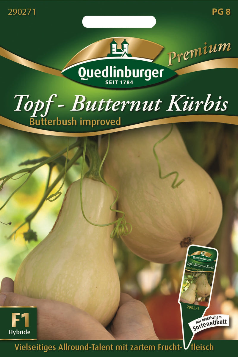 QUEDLINBURGER Saatgut Kürbis Topf-Butternut, Gemüsesamen PG 8
