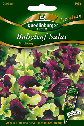 Quedlinburger Saatgut Pflücksalat Babyleaf Mischung PG 8 Premium