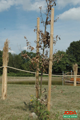 Joda® Baum- und Zaunpfahl Kiefer, kesseldruckimprägniert, grün