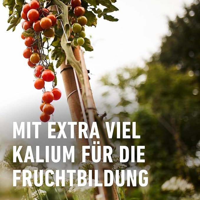 COMPO Tomaten Langzeit-Dünger EREG Feststoffdünger für außen