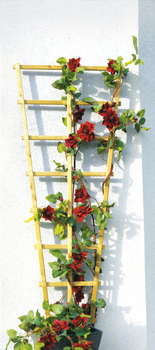 ante Rankgitter Trapez grün 65/30 – 150 cm