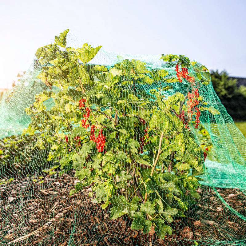 Windhager Vogelschutznetz Rational grün, engmaschiges Garten-Netz 10 x 4 m