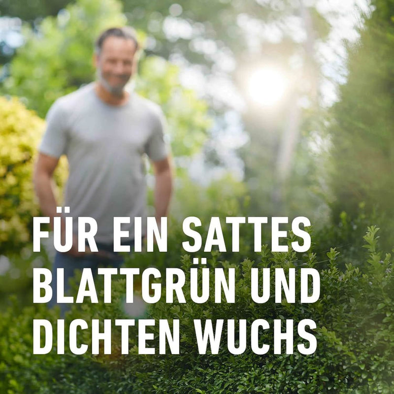 COMPO Buchsbaum-Ilex Langzeit-Dünger EREG Feststoffdünger außen
