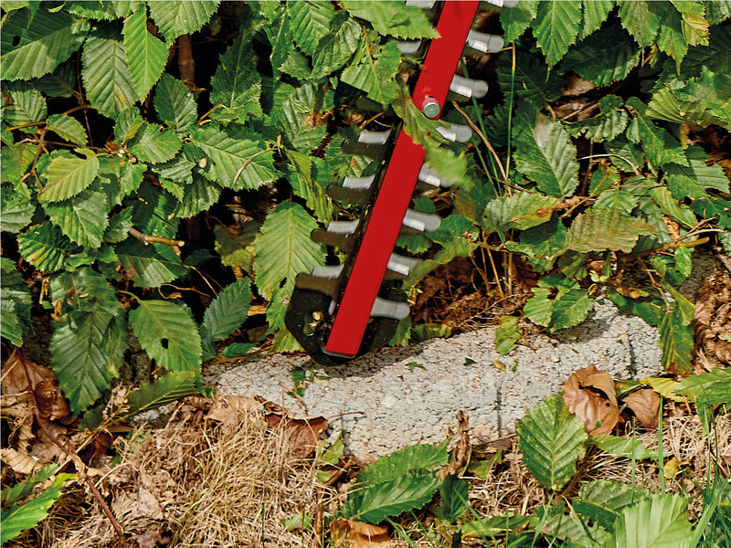 Einhell Akku-Heckenschere ARCURRA 18/55 mit 62 cm Schwertlänge