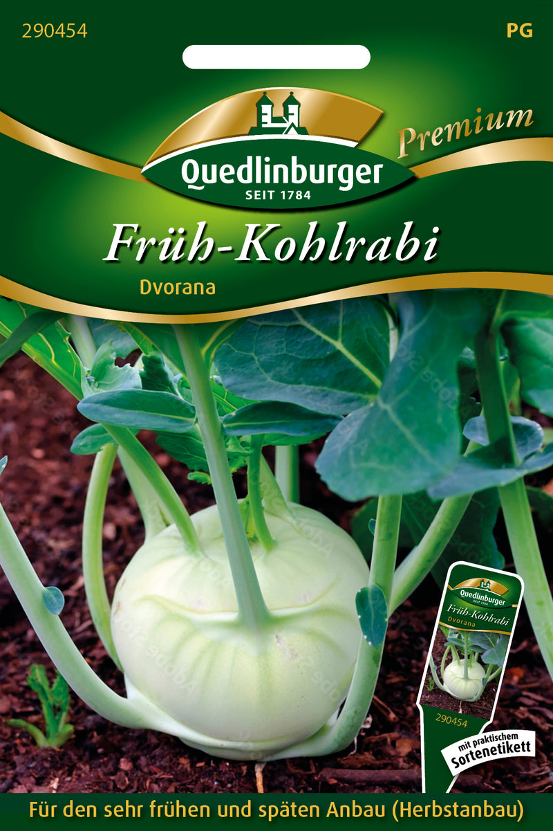 Quedlinburger Saatgut Kohlrabi „Früh“ Dvorana PG 8