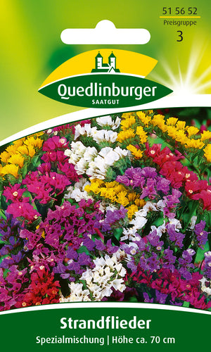 QUEDLINBURGER SAATGUT PG 3 Strandflieder „Spezialmischung“