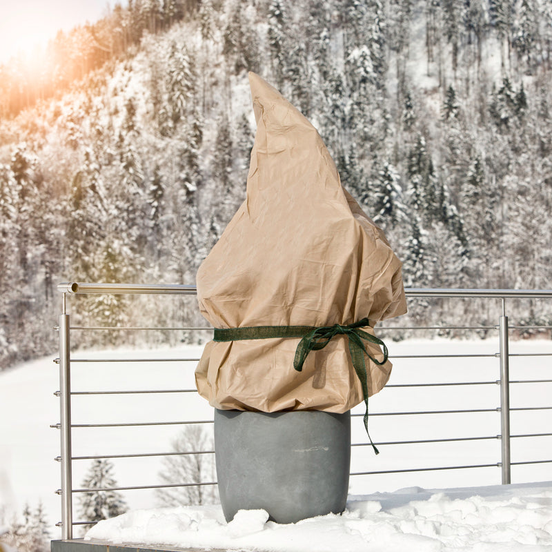 Windhager Winter-Vlies PROTECT Schutzvlies beige, 30 g/m², 5x2 m