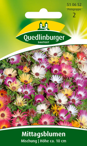Quedlinburger Saatgut Mittagsblume Mischung, Blumensamen (einjährig)