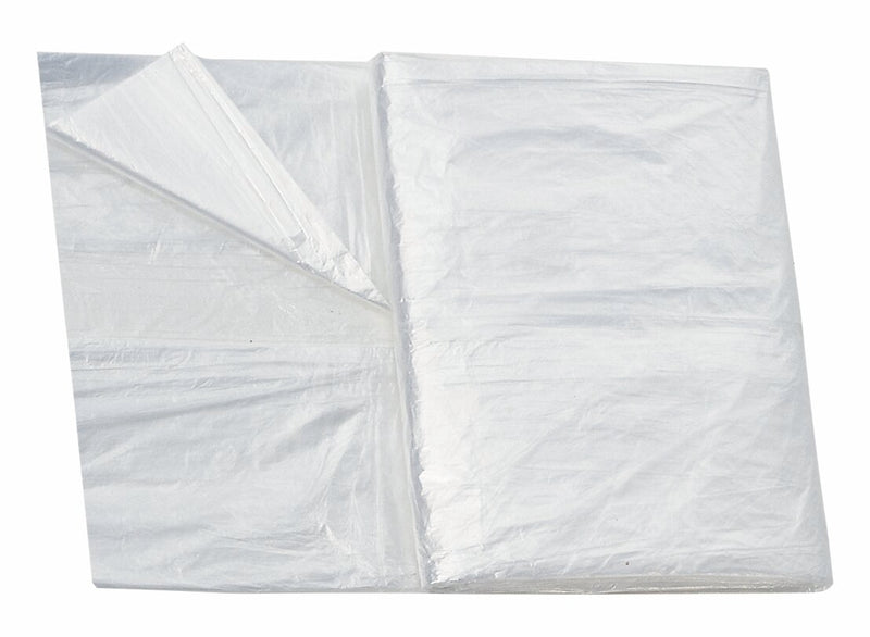 Storch Plane LDPE transparent 4 m x 5 m, 18 µm Stärke (Abdeckfolie)