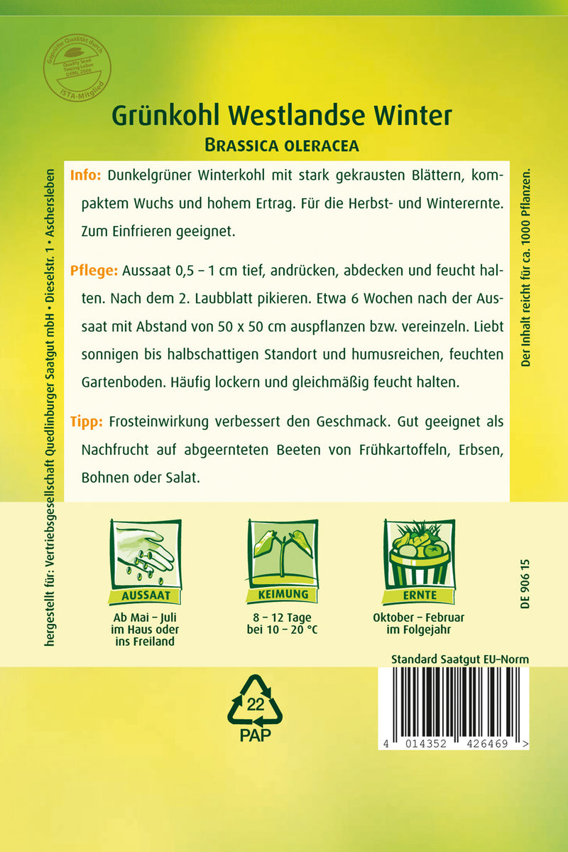 QUEDLINBURGER SAATGUT Grünkohl Westlandse Winter GP PG 4 Saatgut