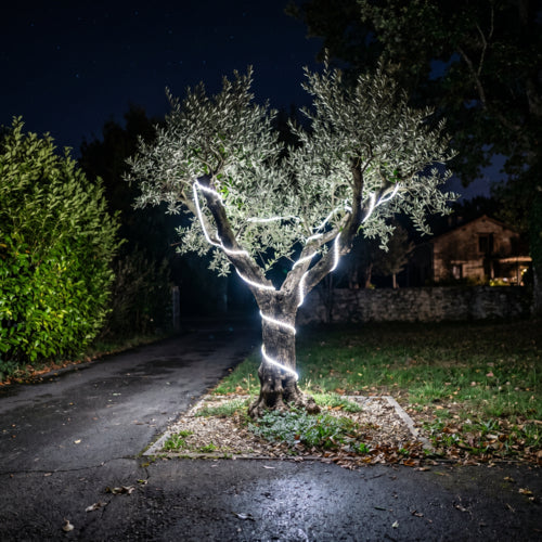EGLO Lichtschlauch Collepasso LED, Außen, auf Rolle 5500K, 7 mm, IP65