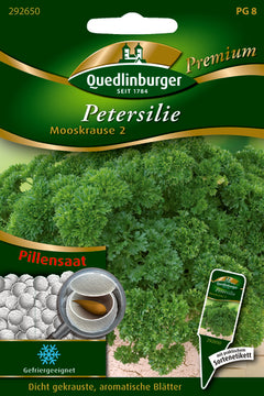 Quedlinburger Saatgut Pille Petersilie Mooskrause PG 8 Premium