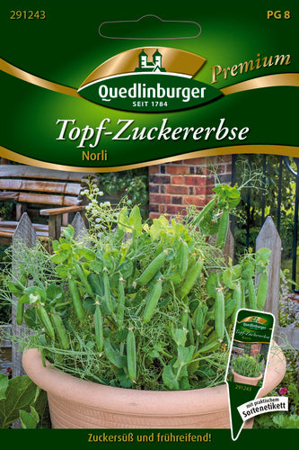 QUEDLINBURGER Topf-Zuckererbse Norli PG 8 Premium als Gemüsesamen