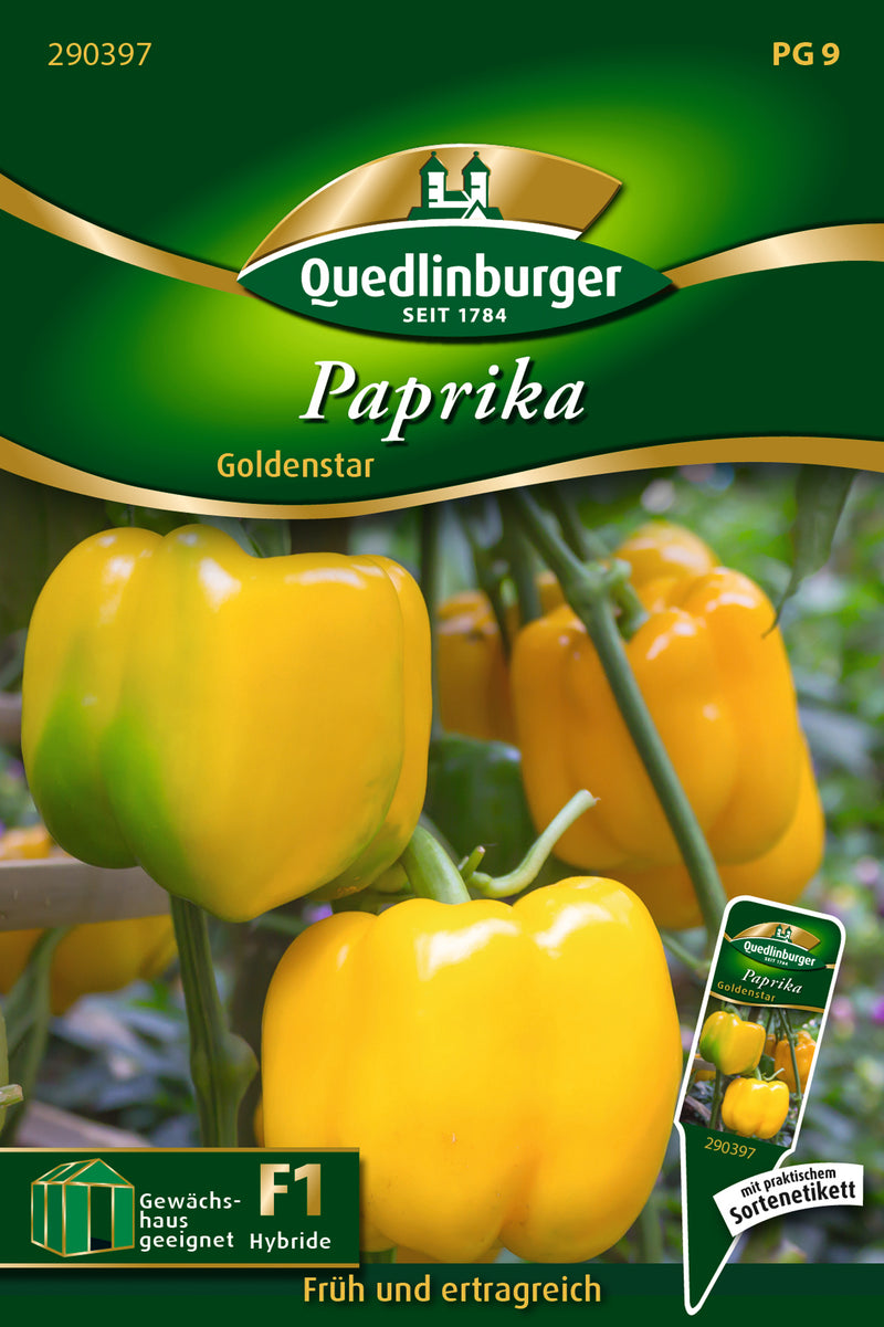 Quedlinburger Saatgut Paprika-Block Goldenstar (PG 9 Premium)