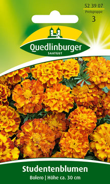 QUEDLINBURGER SAATGUT Studentenblumen Bolero – orange Blumensamen, PG 3