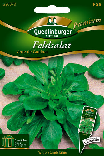 Quedlinburger Saatgut Feldsalat Verte de Cambrai PG 8 Premium